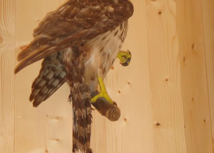 Maisaess Stossner Сasa de vacaciones *